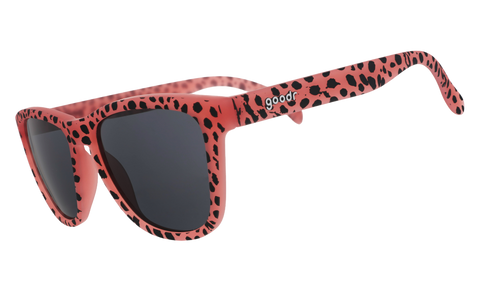 Cheetahs Always Win